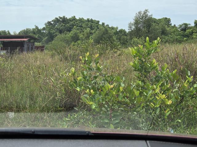 Industrial Land for Sale @ Labuan 1