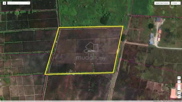 Tanah Sawah 1.91 Ekar di Kg. Sangkir, Kota Belud 1