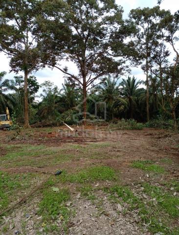 Agriculture Land International Lot Pontian Johor 1