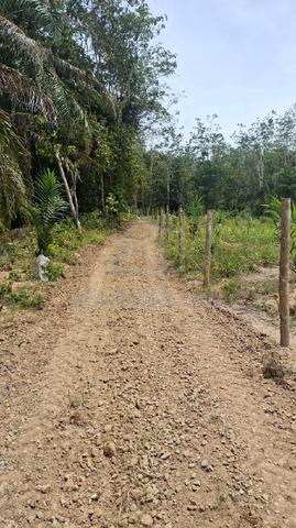 Tanah 1.2 EKAR UNTUK DIJUAL, KUALA KANGSAR PERAK 1