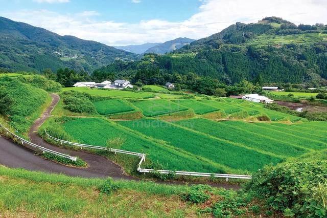 1 Arce agriculture land for sale Bukit Sentosa, Serendah 1
