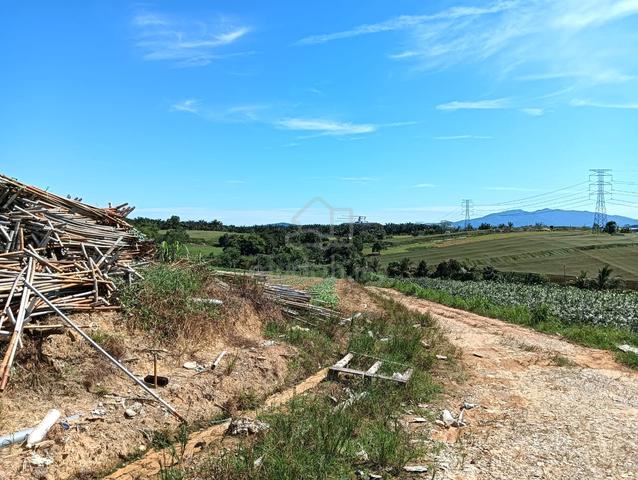 Senai Agricultural Land For Sale 1
