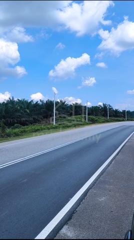 Tanah Pertanian 6 ekar di Felcra Dusun Panti KOTA TINGGI UNTUK DIJUAL 3