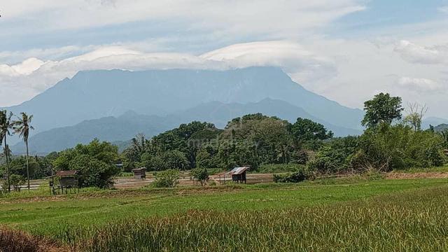 Tanah View gunung Kinabalu di Kota Belud untuk dijual 1