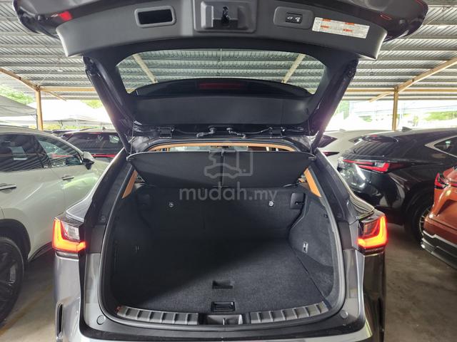 2023 Lexus NX 250 2.5 LUXURY LSBROWN 20 4LED 2MS - 5