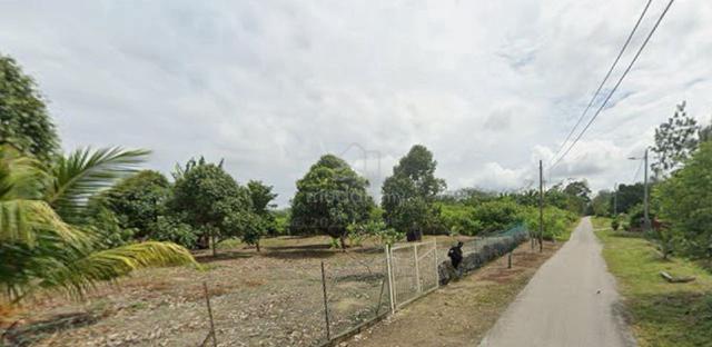 Bukit Lintang FREEHOLD Land For Sales 1