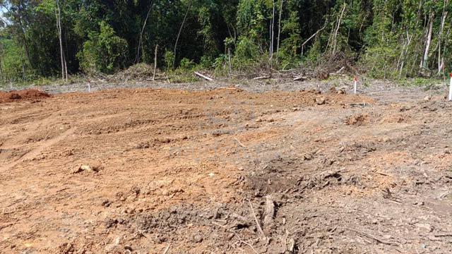For Sale: Lot 371 Mukim Taboh Naning Ulu Kemus A'famosa Alor Gajah 5
