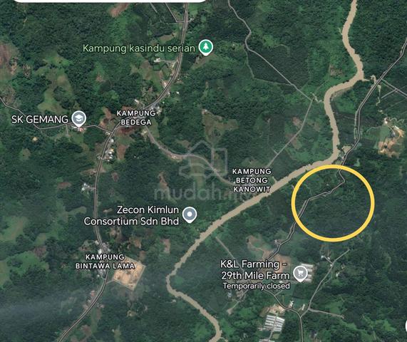 Land For Sale โ with fruit trees including Durian Trees. 1