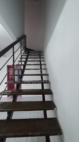 Adenium house for rent 1