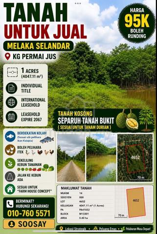 1 ekar Selandar Tanah per Tainan 1
