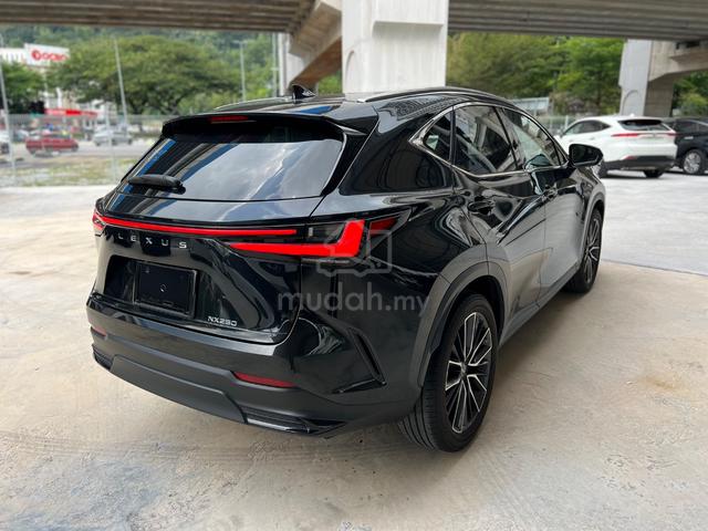 LIMITED SALE UNREG 2022 Lexus NX 250 2.5 VERSION L - 4