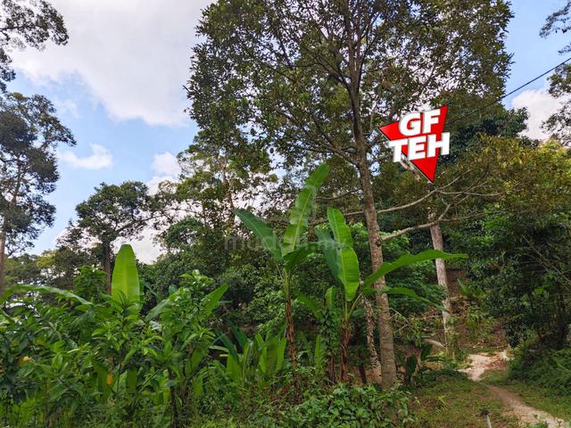 32.32 acre Agricultural Land | Bukit Gambir | Gelugor | Penang 1