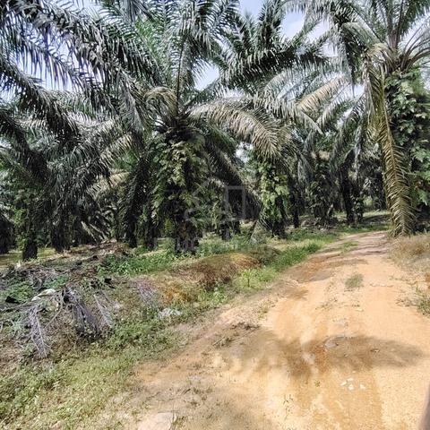 Converted Light Industrial Land @Sungai Tiram, Johor 1