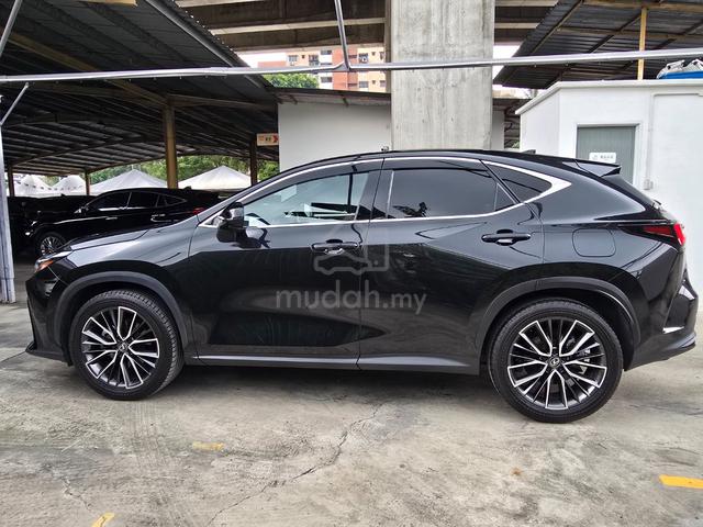 2024 Lexus NX250 2.5 Base Spec Ready Stock 4.5/23k - 2