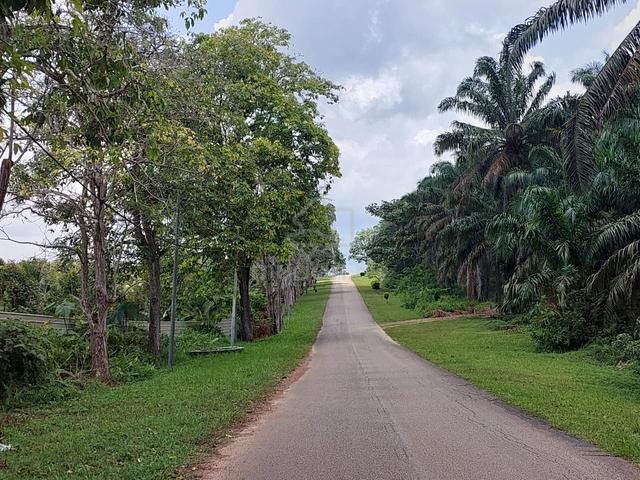 Kota Tinggi Jalan Kota Tinggi Kulai Agricultural Land for Sale 1
