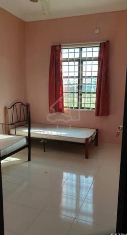 Bilik untuk disewa di Paka 1