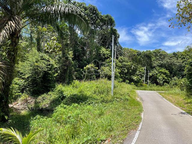 1.1 Acre Land Muara Tuang| Mixed Zone | Reserved Road 1