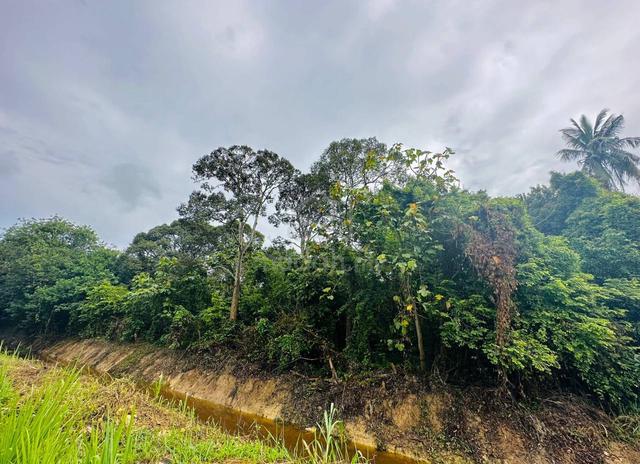 INFRA READY BUMI LOT 2.15 acres Agricultural Land Dengkil 1