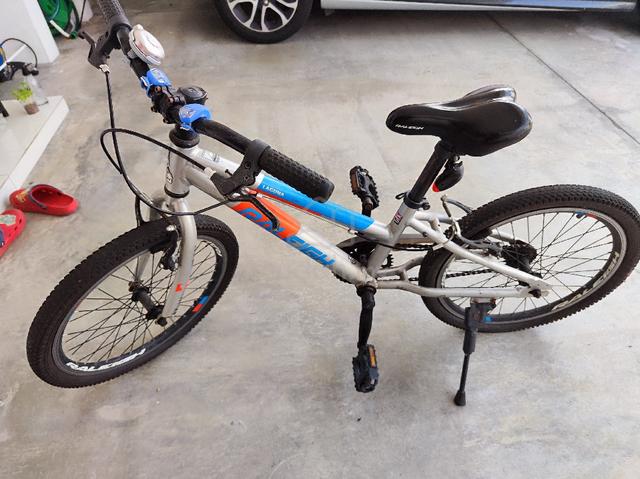 Raleigh Laguna Mountain Bike 20 inch - Sports & Outdoors for sale in ...