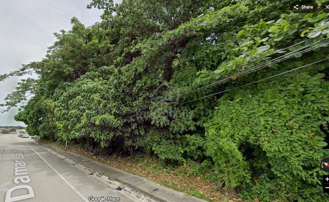 Batu Maung Main Road Land 1