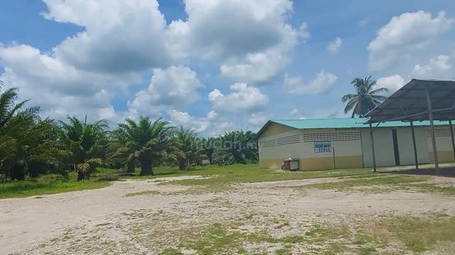 Palm oil Plantation at Setiawan Perak for sale 5
