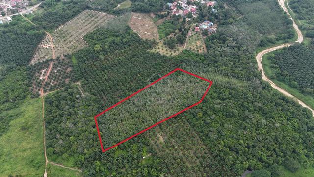 TANAH KEBUN FREEHOLD 4.88 Ekar di Sg Segamat Kanan, Segamat [MURAH] 1