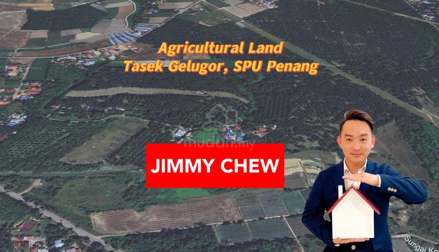 84 Acres Agricultural Land Pinang Tunggal Tasek Gelugor Penang 1