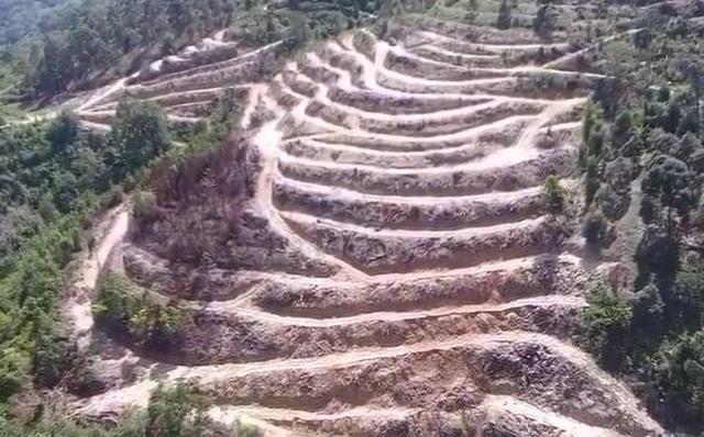 Kedah Serdang Agricultural Freehold Land For Sale 1