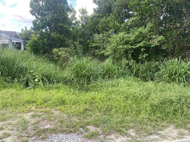 lot semi d paya resak bukit payong 4