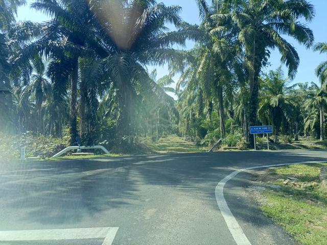 Tanah 1 Ekar Untuk Jual Pulau Nyatoh, Permatang Pasir, Banting 3