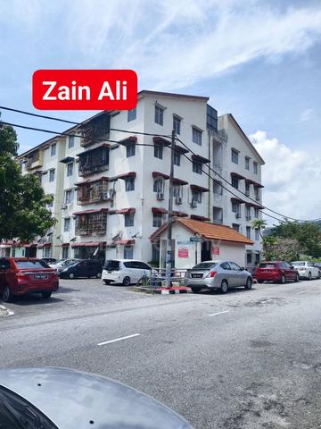 Taman Balik Pulau 1