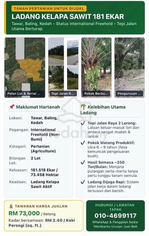 LADANG KELAPA SAWIT 181 EKAR – TEPI JALAN UTAMA,Tawar Baling,Kedah 1
