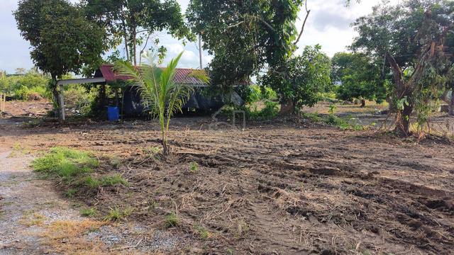 Tanah Kampung / kebun di Beseri nak dijual 1