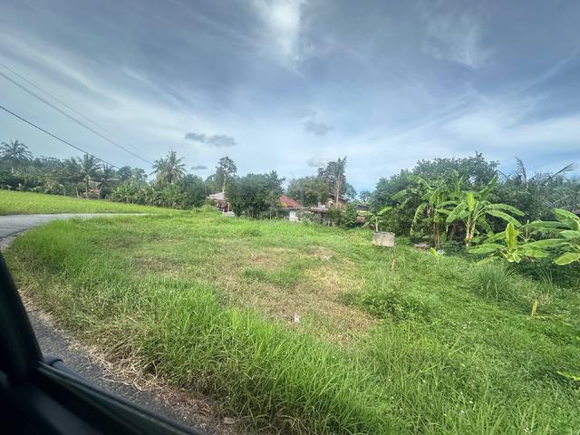 Tanah kampung kodiang 1