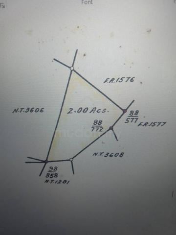 Single NT Grant 1