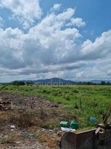118 Acres Agricultural Land for Sale @ Jaya Gading, Kuantan 1