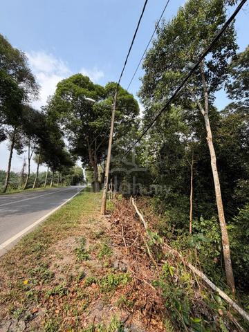 Land / Tanah Pertanian Bukit Batu Jalan Ayer Hitam Kulai Johor 1