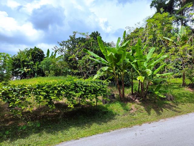 Detached Land At Nearby Crookshank Road & Bampfylde Road For Sale 2
