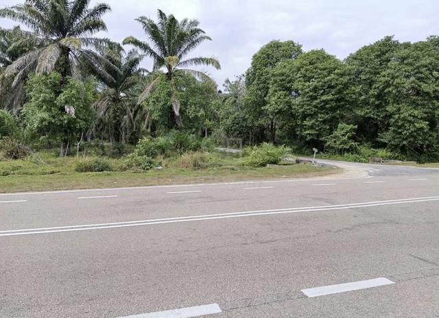 Tanah pertanian strategik untuk dijual - pekan pahang 1
