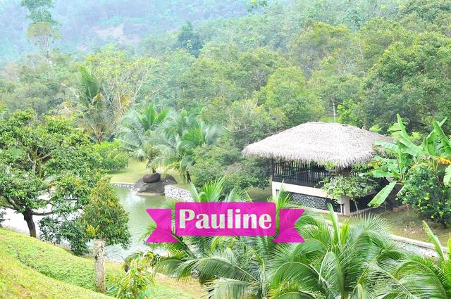[ Durian Land ] Musang King Beautiful Estate in Raub Matured Trees 1