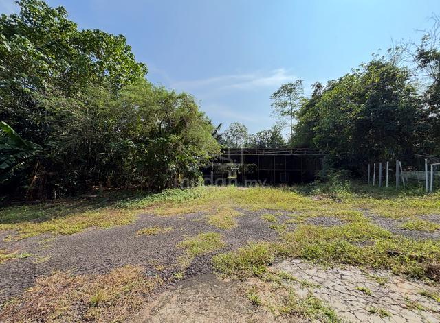 3 acres tanah untuk DISEWA di SEGAMAT!  1