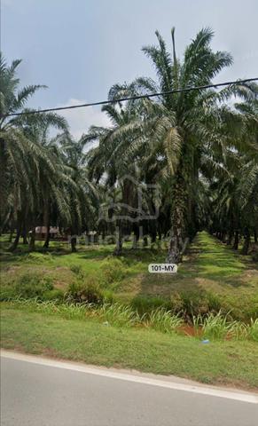 Value Buy‼️3 Acre Jeram Kapar Klang Agriculture Land Sale【1st Piece】 4