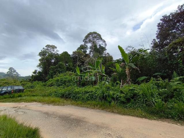 Tanah Tepi Jalan Kechau Berhampiran Bandar Baru Kuala Lipis 3