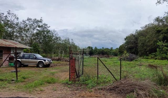 Tanah untuk disewa/pajak, Kg.Padang Lalang, Juasseh 1