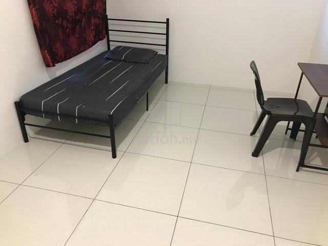 Private room rent for single female in Bayan Lepas 1