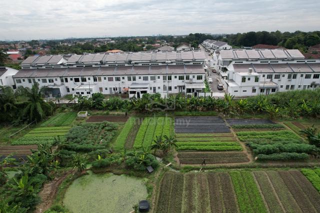 Agri Freehold Malay Reserve - Potensi Pelaburan dan Pembangunan 1