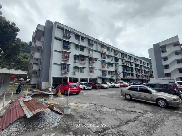 Taman Paya Terubong 1
