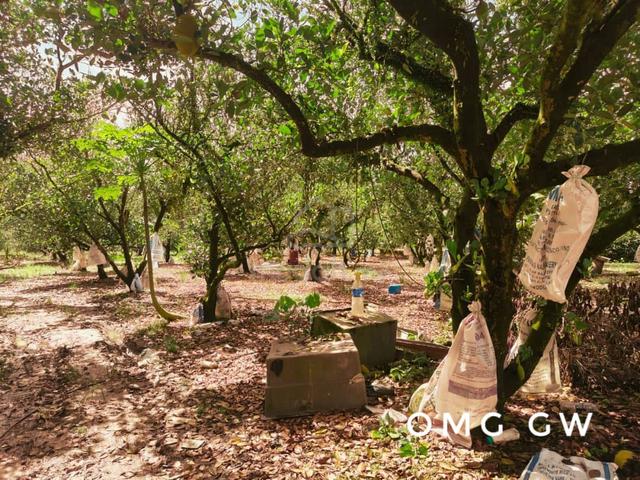 10 acres Zoning Residential Land Teluk Kemang Port Dickson for sales🌱 1