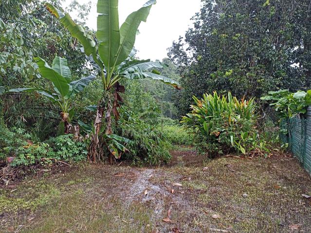 Simpang Baru Hilly Land For Sale 1