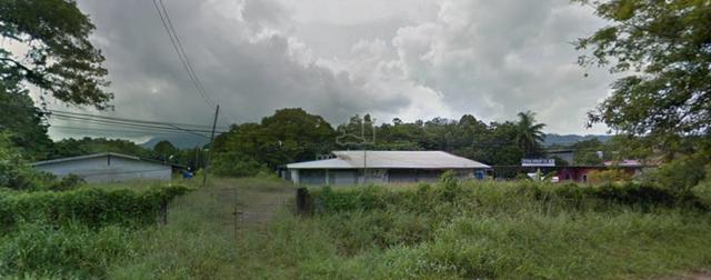 Land for Sale 1